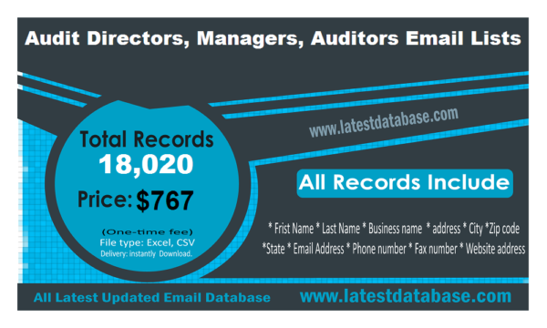 Audit Directors, Managers, Auditors Email Lists