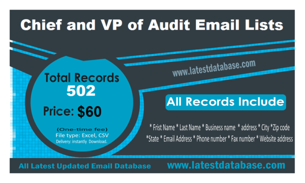 Chief and VP of Audit Email Lists