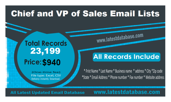 Chief and VP of Sales Email Lists