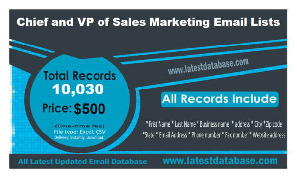 Chief and VP of Sales Marketing Email Lists